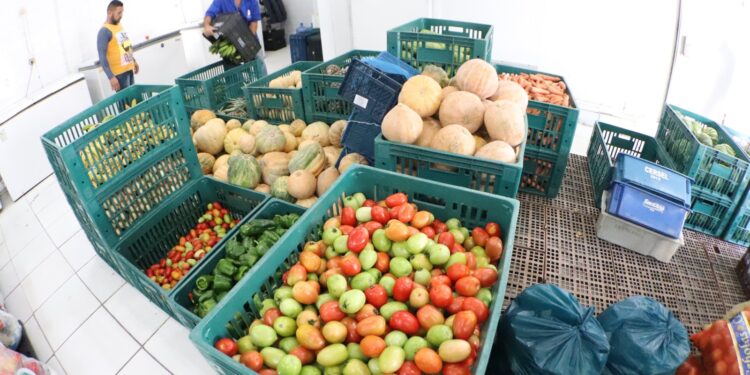 Banco de Alimentos fortalece estrutura da segurança alimentar em Natal