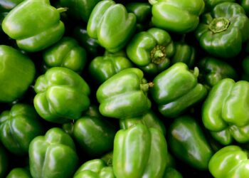 MPRN obtém manutenção de sentença condenatória de supermercado por comercializar produtos com agrotóxicos não autorizados