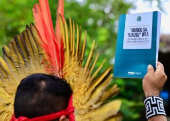 Constituição brasileira é traduzida pela 1ª vez para língua indígena