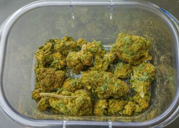 TJ/RN nega recurso para preso que mantinha e transportava drogas em pavilhão