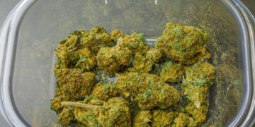 TJ/RN nega recurso para preso que mantinha e transportava drogas em pavilhão