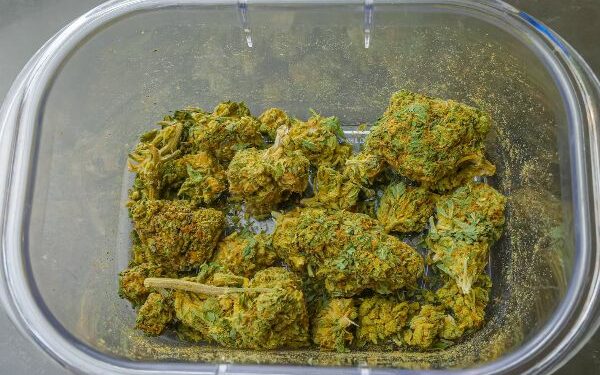 TJ/RN nega recurso para preso que mantinha e transportava drogas em pavilhão