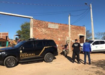 PF e IDEMA combatem danos ao meio ambiente no Rio Grande do Norte