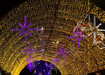 Árvore de Ponta Negra será ligada segunda-feira (20)