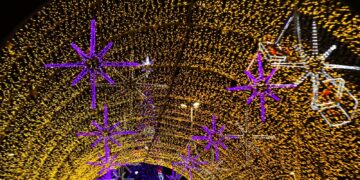 Árvore de Ponta Negra será ligada segunda-feira (20)