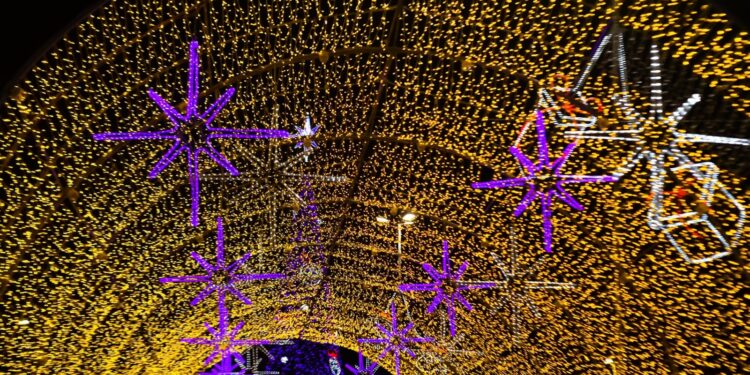 Árvore de Ponta Negra será ligada segunda-feira (20)