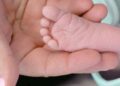 PGR questiona leis de todos os estados e do DF sobre licença parental de servidores públicos civis e militares