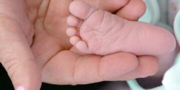 PGR questiona leis de todos os estados e do DF sobre licença parental de servidores públicos civis e militares