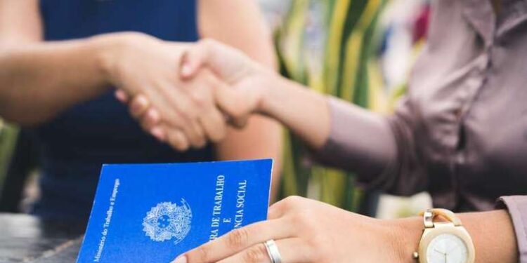 CNC projeta maior oferta de vagas temporárias de Natal dos últimos 10 anos