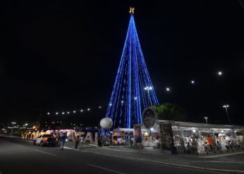 Prefeito Álvaro Dias acende árvore de Mirassol nesta sexta-feira 