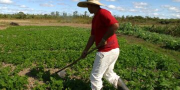 Fetarn destaca avanços da Agricultura Familiar em 2023