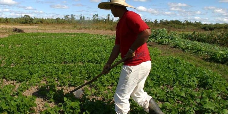 Fetarn destaca avanços da Agricultura Familiar em 2023