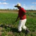 Fetarn destaca avanços da Agricultura Familiar em 2023