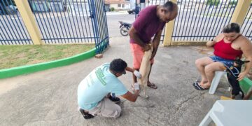 Vacinação antirrábica têm continuidade neste mês em Parnamirim