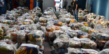 Programa Banco de Alimentos doa mais 15 toneladas a 100 instituições