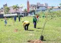 Plantio de 50 mudas de espécies nativas marca Dia Internacional da Mãe Terra