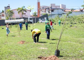 Plantio de 50 mudas de espécies nativas marca Dia Internacional da Mãe Terra