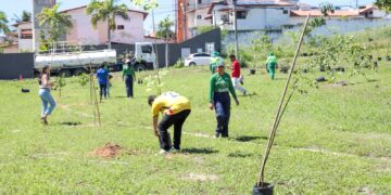 Plantio de 50 mudas de espécies nativas marca Dia Internacional da Mãe Terra