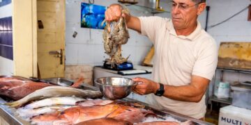 Semana Santa impulsiona vendas no Mercado do Peixe, com crescimento de 15% e forte movimentação