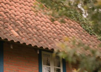 Usucapião em área de proteção ambiental em Natal é negado pela Justiça