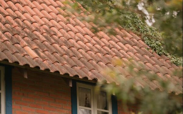 Usucapião em área de proteção ambiental em Natal é negado pela Justiça