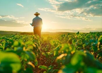 Perda da propriedade rural extingue arrendamento e impede permanência do arrendatário no imóvel