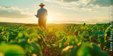 Perda da propriedade rural extingue arrendamento e impede permanência do arrendatário no imóvel