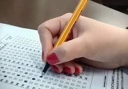 Concursos Públicos: 3.500 vagas abrem inscrições nesta segunda (1º); saiba quais