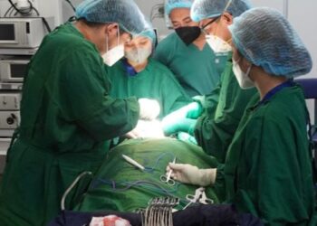 Cláusula de carência em planos de saúde não pode impedir tratamento prescrito
