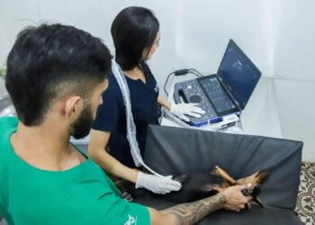 Hospital Público Veterinário de Natal amplia atendimentos e registra crescimento nos serviços