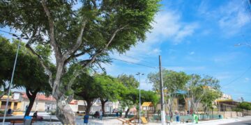 Prefeitura entrega Praça das Mães Zilda Arns requalificada em Lagoa Nova
