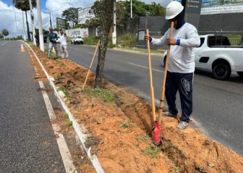 Suspeitos de furto dos cabos da Rota do Sol são presos com auxílio de vigilância da Semsur