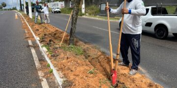 Suspeitos de furto dos cabos da Rota do Sol são presos com auxílio de vigilância da Semsur
