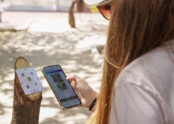 Parque Ecológico de Capim Macio ganha trilha autoguiada com projeto de educação ambiental