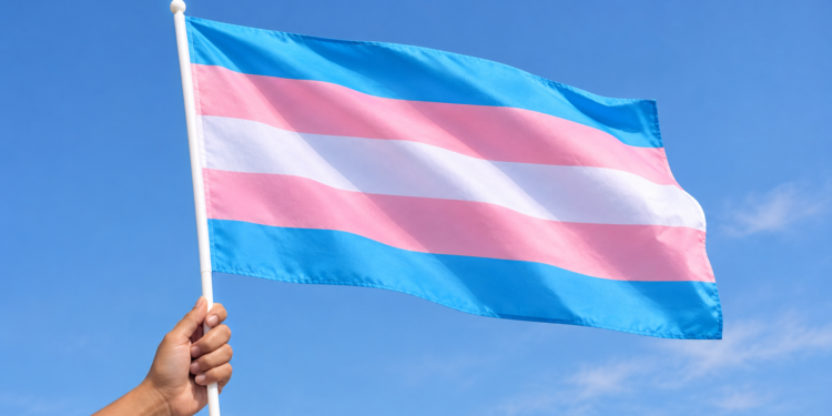 Defensoria Pública do RN assegura leito psiquiátrico e direito à identidade de gênero para mulher trans custodiada