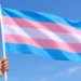Defensoria Pública do RN assegura leito psiquiátrico e direito à identidade de gênero para mulher trans custodiada