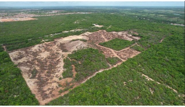 MPRN oferece denúncia por degradação ambiental em Extremo